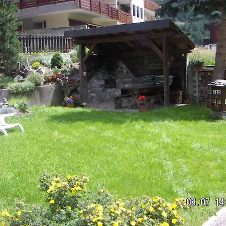 Viola Saas-Grund